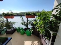 IMG_20240714_100643