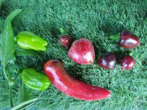 IMG_20240713_110151