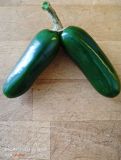 IMG_20240713_142820