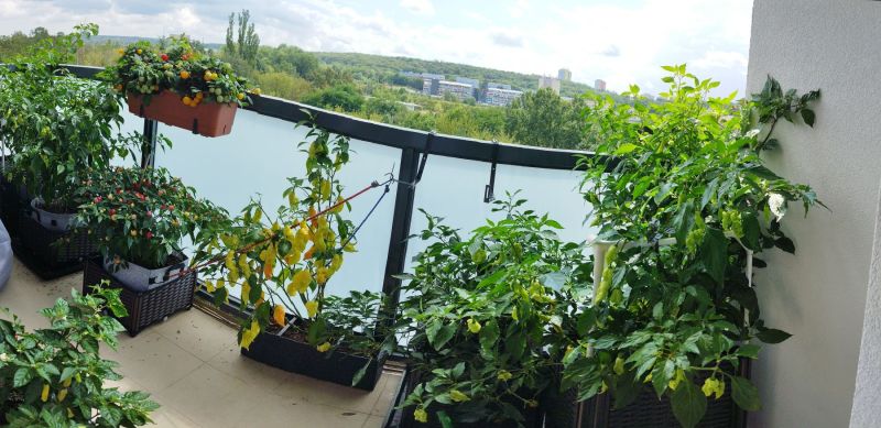 PANO_20240804_125846