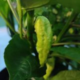 IMG_20240806_185840