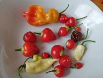 IMG_20240815_085717