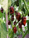 IMG_20240822_174831