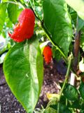 IMG_20240822_175153