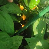 IMG_20240831_163312