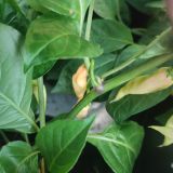 IMG_20240831_163305
