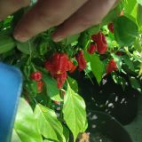 IMG_20240901_144244