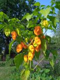 IMG_20240906_162434