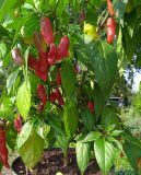 IMG_20240906_162610