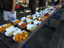 IMG_20240907_101137810