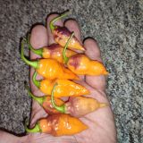 IMG_20240911_230641