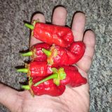 IMG_20240911_230558