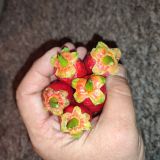 IMG_20240911_230538