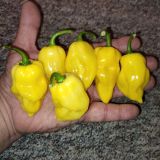 IMG_20240911_230438