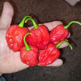 IMG_20240911_225853