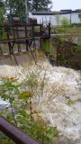 IMG-20240914-WA0003