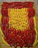 IMG_20240810_070445