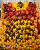 IMG_20240914_092742
