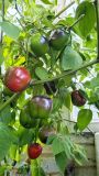 IMG_20240921_094644