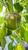 IMG_20240921_094857