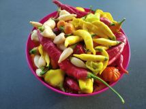 IMG_20240930_160840