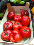 IMG_20241014_181601