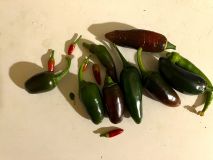 IMG_9756