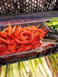 IMG_20250317_190248