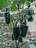 IMG_20250601_105457