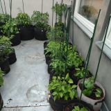 IMG_20250714_191528