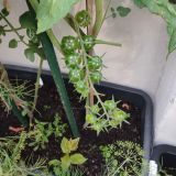 IMG_20250727_190954