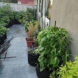 IMG_20250727_191312