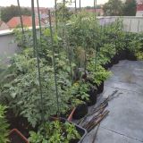 IMG_20250727_191316