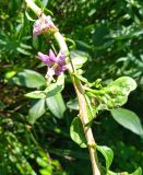 IMG_20250811_151015(1)