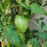 IMG_20250815_184613