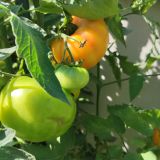 IMG_20250904_103153