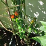 IMG_20250904_103210