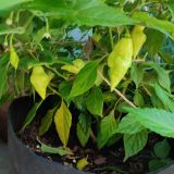 IMG_20250904_103221