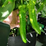 IMG_20250904_103403