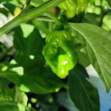 IMG_20250904_103433