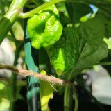 IMG_20250904_103441