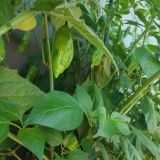 IMG_20250904_103459