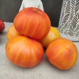 IMG_20250913_125801