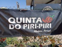 IMG_20250930_153705