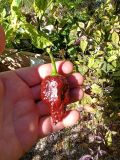 IMG_20251004_111556