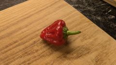 PXL_20250825_182227796