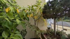 PXL_20251012_142000558