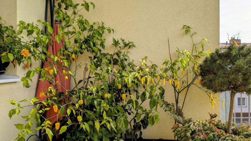 PXL_20251101_132057898~3