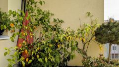 PXL_20251101_132057898~3