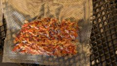 PXL_20251105_144350809